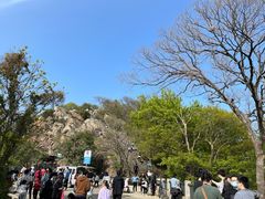 -紫金山山顶公园