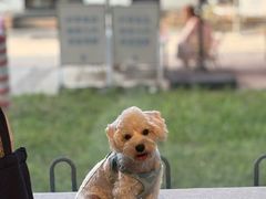 -小意思咖啡店(草桥店)