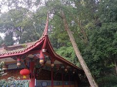 -都江堰普照寺