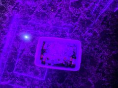 -K100佰份佰KTV(福田店)