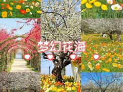 -名花谷生态庄园