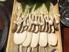 -井格重庆火锅(新世纪店)