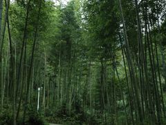 -仙岛湖旅游风景区