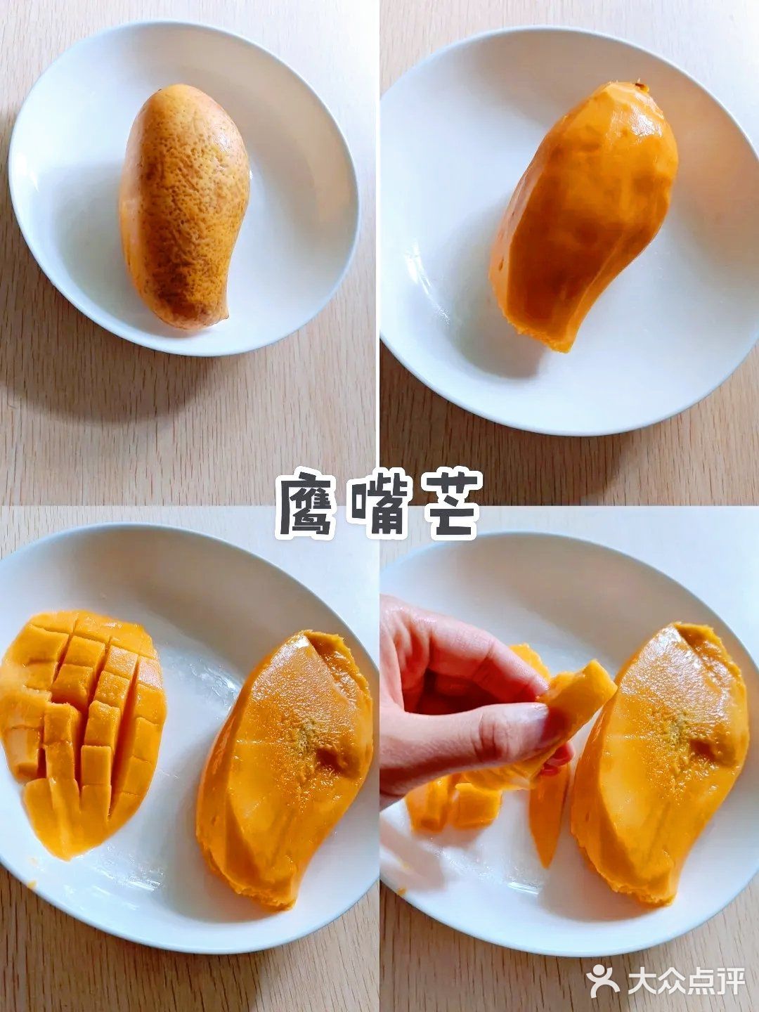 热带风情～网购鹰嘴芒
