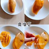热带风情～网购鹰嘴芒