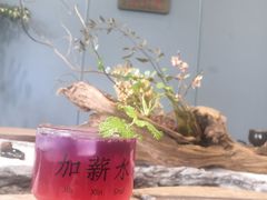 -菩提树下茶咖鼓捣