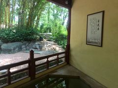 -河源客天下-温泉小镇