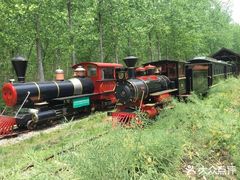 -合肥滨湖国家森林公园