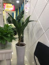 -华雄美容美发造型SPA