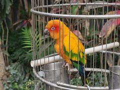 -南宫五洲植物乐园