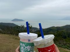 -南澳岛打卡果汁冰公司