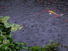 -苏州冶园园林民宿(太湖西山风景区店)