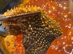 -大龙燚火锅(悉尼店)