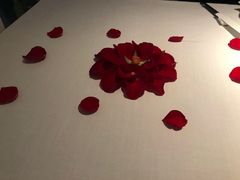 -梧桐