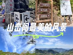 -大岭沟猕猴桃谷风景区