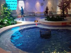 -水晶之星洗浴温泉汗蒸