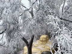 -紫金山山顶公园