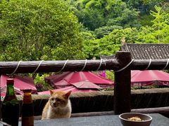 -楠柏弯休闲山庄(梨花溪店)