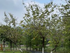 -怡海公园(桂城街道)