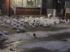 -北山公园