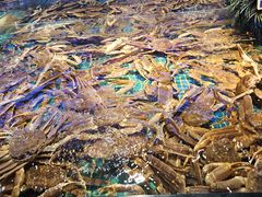 -驻海渔市(置信店)