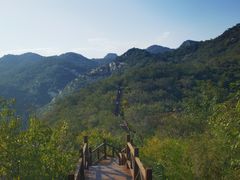 -大岭沟猕猴桃谷风景区