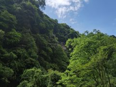 -碧峰峡风景区