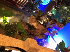 -佬麻雀·新湘菜(珠海金发购物中心店)