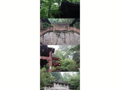 -凤栖山