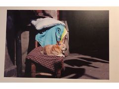 -江宁路街道社区文化活动中心