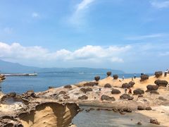 -台北101