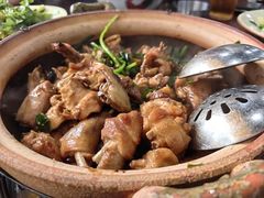 -华仔土鸡店(南洲分店)