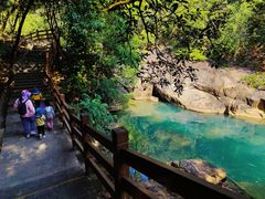 -广州白江湖森林公园