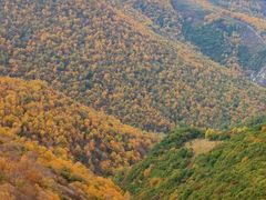 -灵山