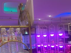 -巴特餐饮6加1音乐餐吧·新疆菜