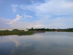-西京湾花海