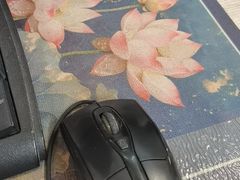 -楚鱼王·河鲜·湖北菜(华农店)