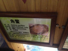 6.8-上海大自然野生昆虫馆