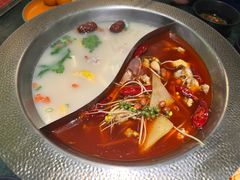 -麻田会 ·鲜活现烹·牛蛙火锅(珠江新城维家思广场店)