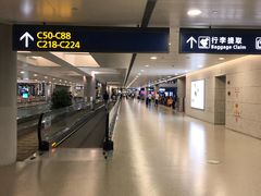 -上海浦东国际机场-T2航站楼