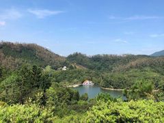 -深圳仙湖植物园