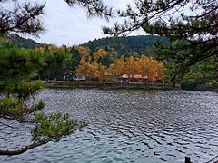 -庐山风景区花径公园