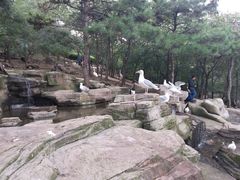 -燕塞湖鸟语林景区