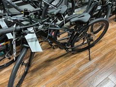 -道路口单车爱瓦士dahon大行