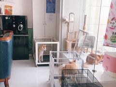 -欧奕国际动物医院