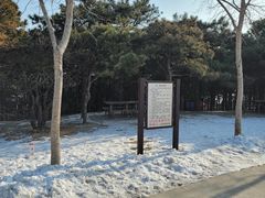 -北京西山国家森林公园