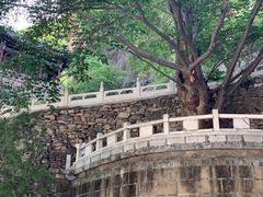 -藏山旅游风景区