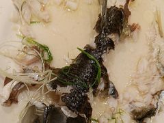 -稻香酒家·34年老字号·港式粤菜(侨光店)