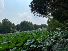 -莲池书院博物馆