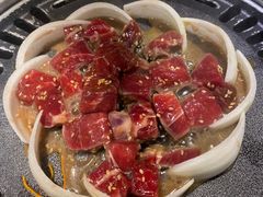 -猫爪爪原切自助烤肉(观音桥阳光世纪店)